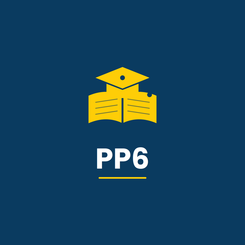 PP6