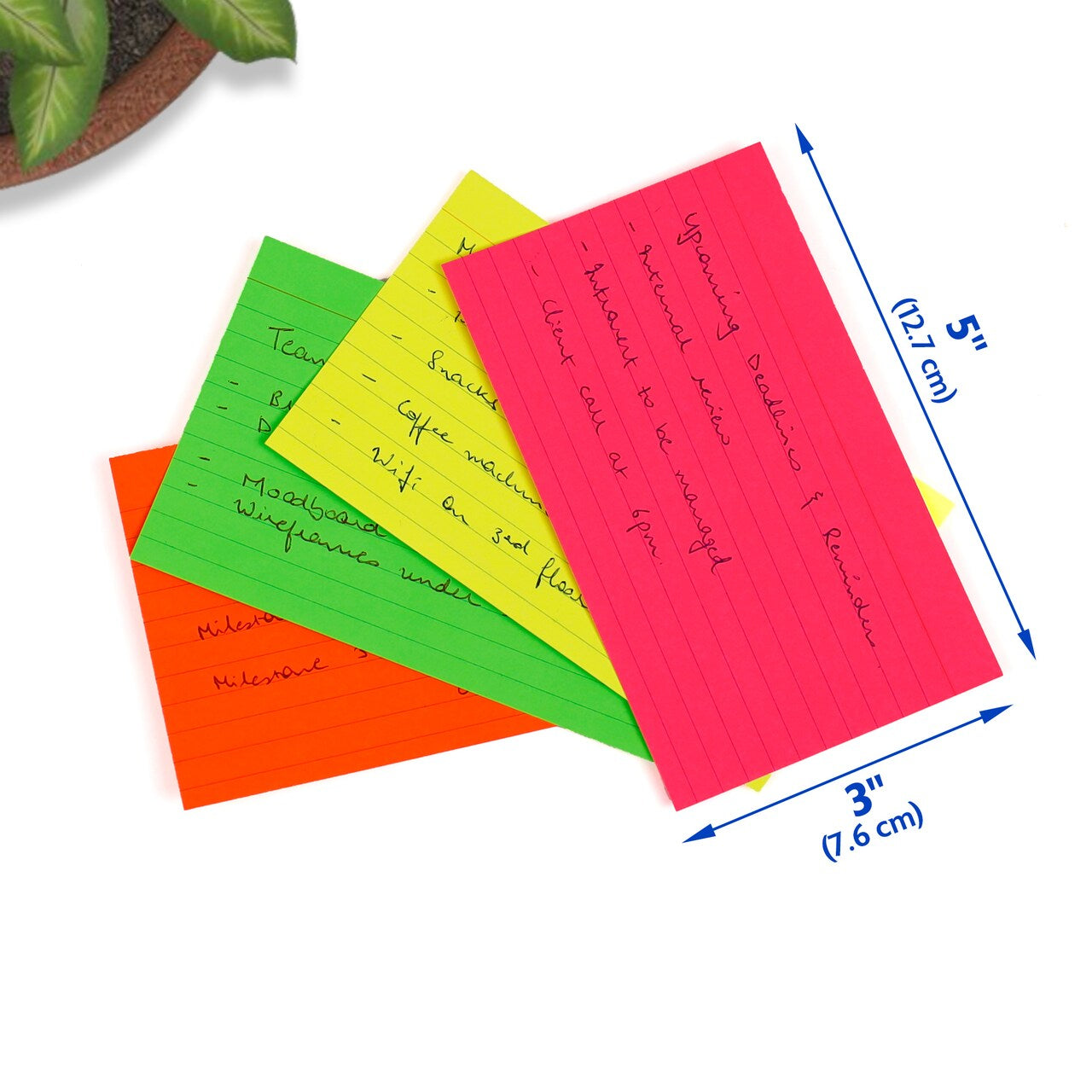 INDEX CARD RULED NEON 3" X 5" PQ.100